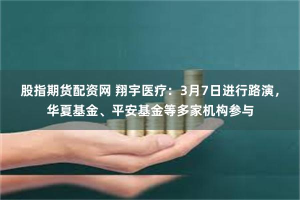 股指期货配资网 翔宇医疗：3月7日进行路演，华夏基金、平安基金等多家机构参与