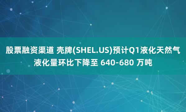 股票融资渠道 壳牌(SHEL.US)预计Q1液化天然气液化量环比下降至 640-680 万吨