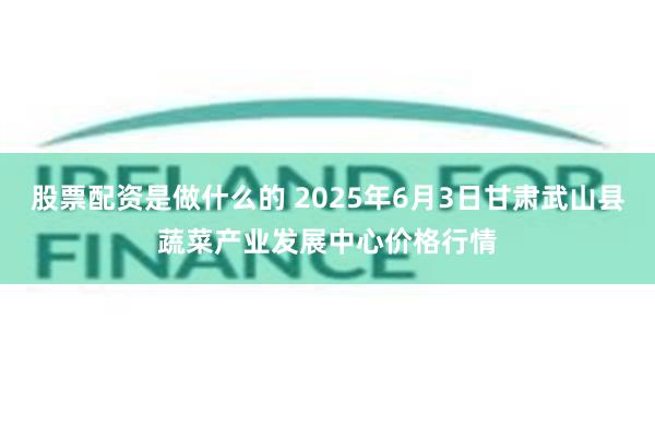股票配资是做什么的 2025年6月3日甘肃武山县蔬菜产业发展中心价格行情