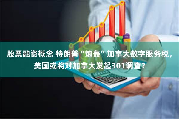 股票融资概念 特朗普“炮轰”加拿大数字服务税，美国或将对加拿大发起301调查？