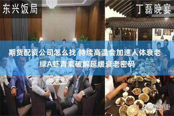 期货配资公司怎么找 持续高温会加速人体衰老  绿A虾青素破解延缓衰老密码