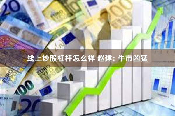 线上炒股杠杆怎么样 赵建: 牛市凶猛