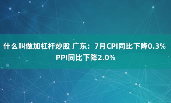 什么叫做加杠杆炒股 广东：7月CPI同比下降0.3% PPI同比下降2.0%