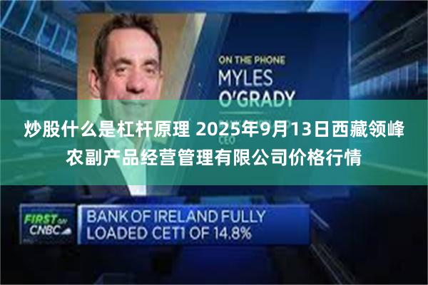 炒股什么是杠杆原理 2025年9月13日西藏领峰农副产品经营管理有限公司价格行情