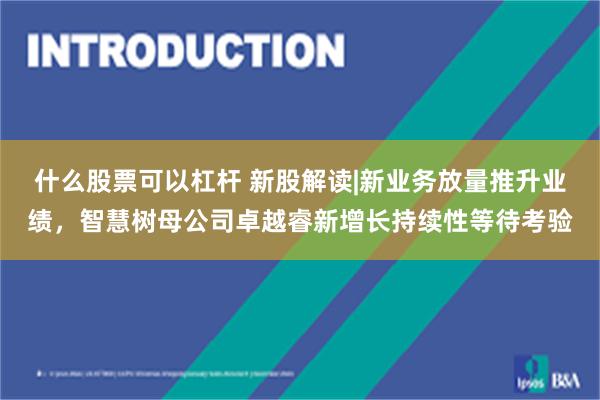 什么股票可以杠杆 新股解读|新业务放量推升业绩,智慧树母公司卓越睿新增长持续性等待考验